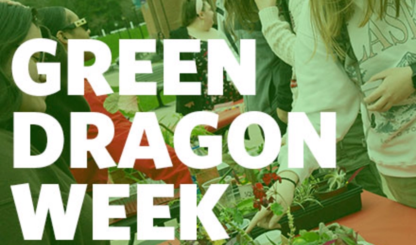 Green Dragon Week
