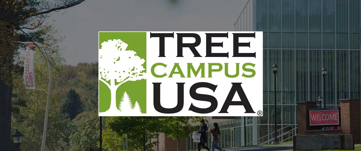 Sustainability Tree Campus USA
