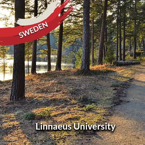 Sweden: Linnaeus University