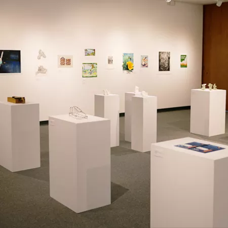 gallery view