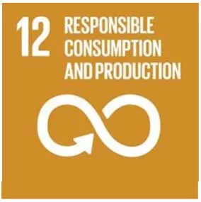 12 Responsible Consumption and Production