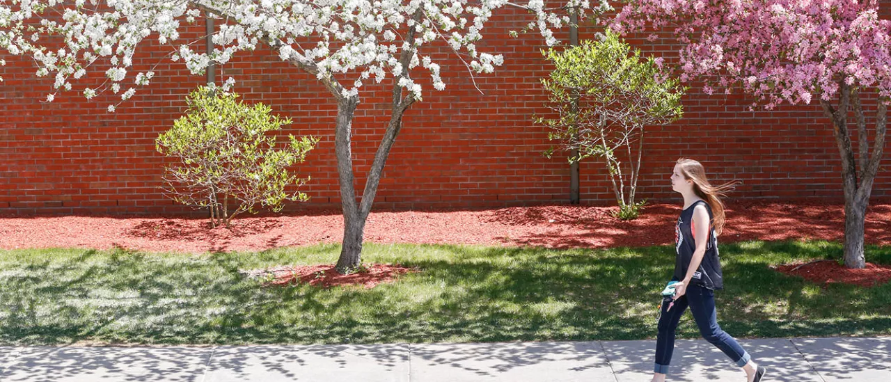 campus in late spring