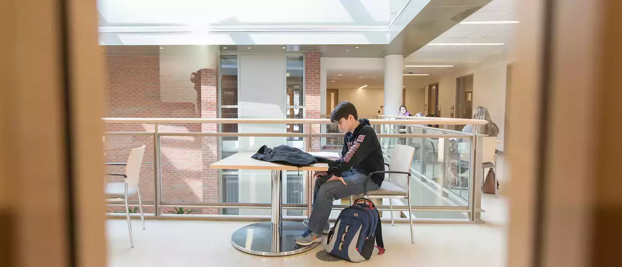 Student studying in the top hall lounge in Fitzelle Hall.