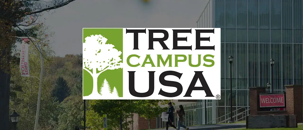 Sustainability Tree Campus USA