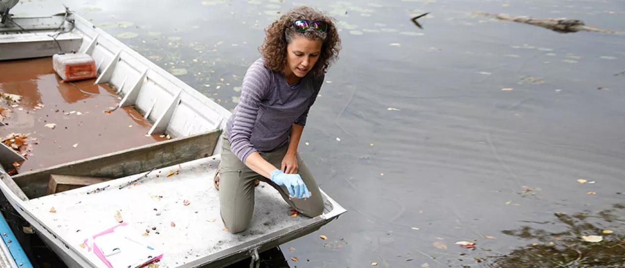 Testing for Harmful Algal Blooms