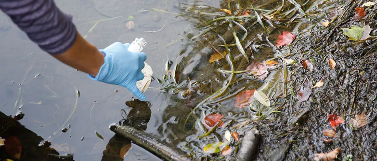 testing for harmful algal blooms (HABs) 