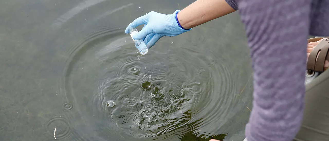 testing for harmful algal blooms (HABs) 