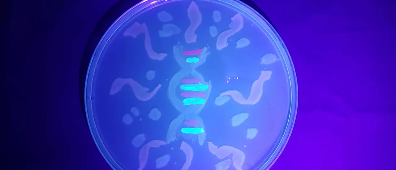 DNA painted with fluorescent bacteria