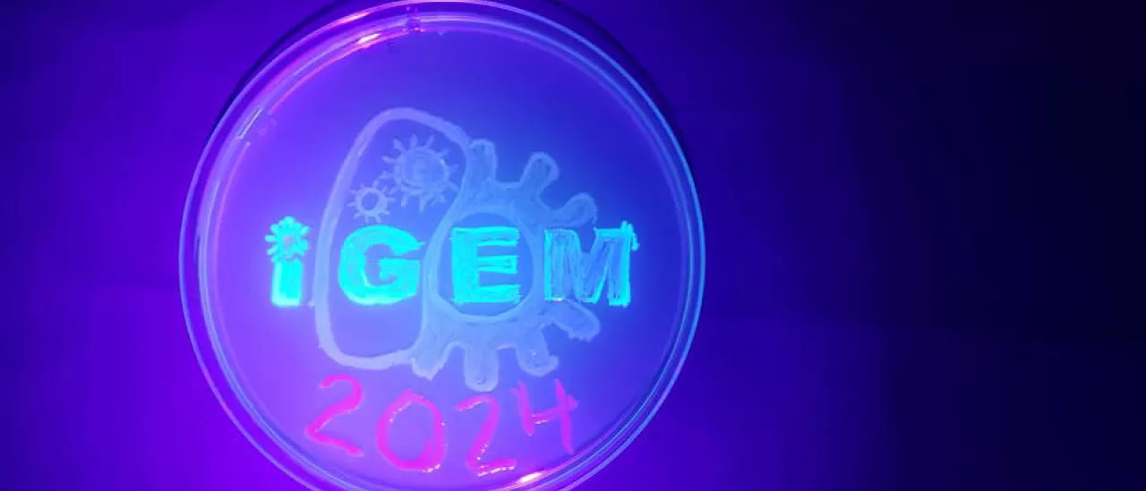 igem logo painted with fluorescent bacteria