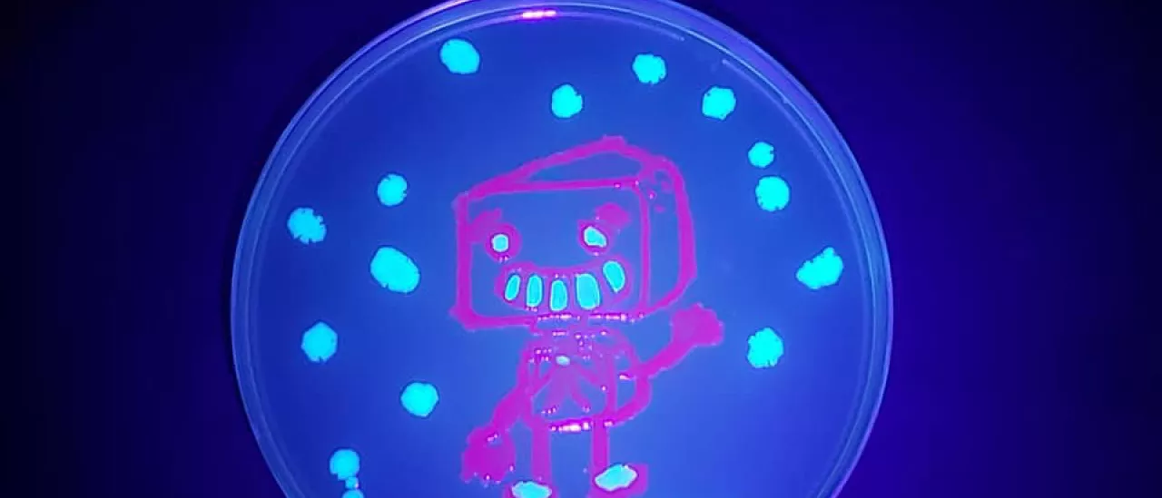 A robot painted with fluorescent bacteria