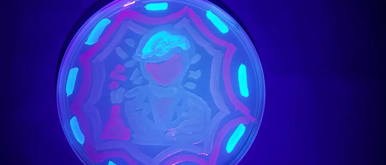 A scientist painted with fluorescent bacteria