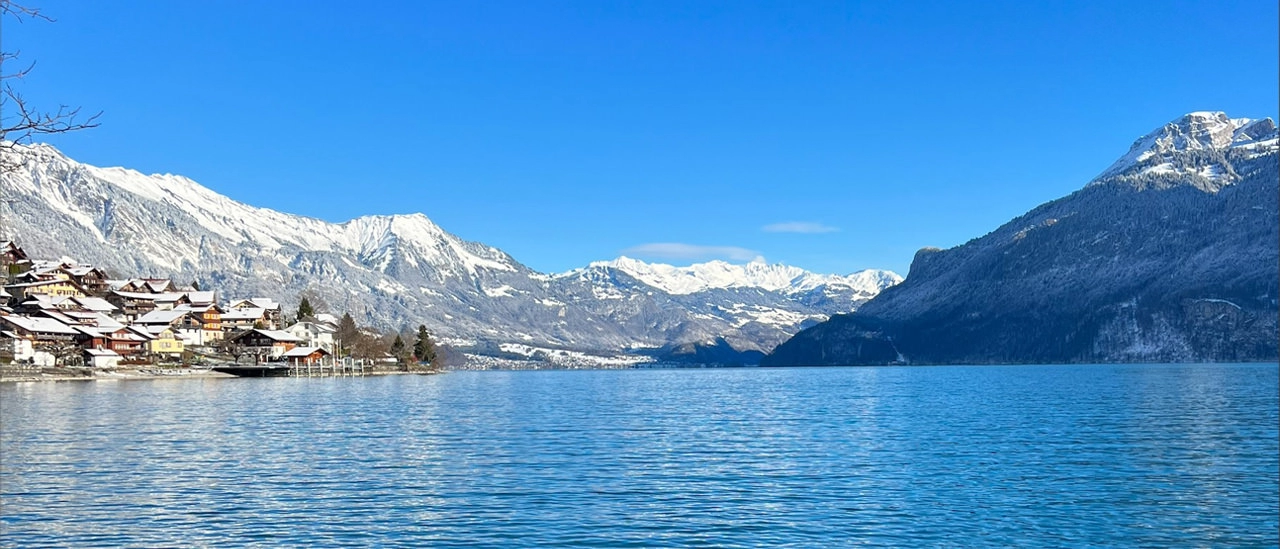 Nature in Switzerland - Taylor Femia