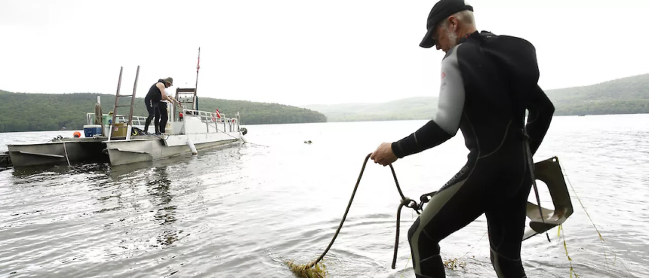 Lake Management