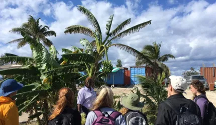 Group of students looking at palm tree