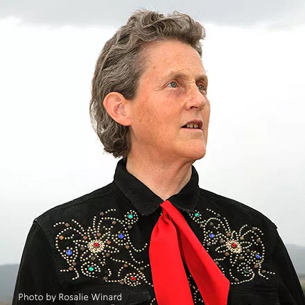 Temple Grandin; photo by Rosalie Winard