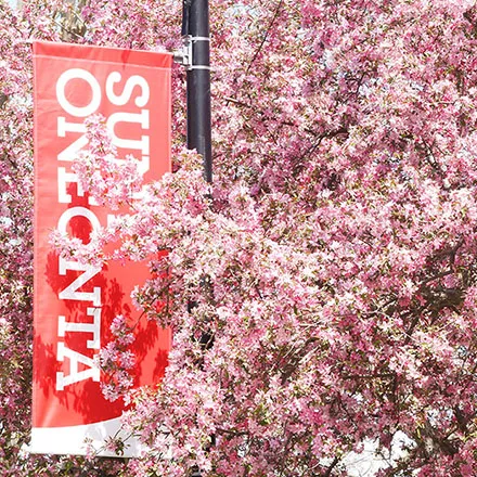 pink flowers and SUNY Oneonta sign