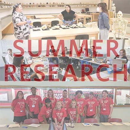 Summer Research News Square