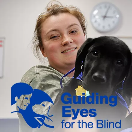 Guiding Eyes for the Blind Puppy