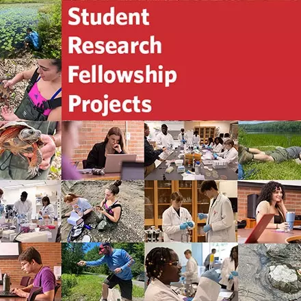 2024 Student Research Fellowship Projects