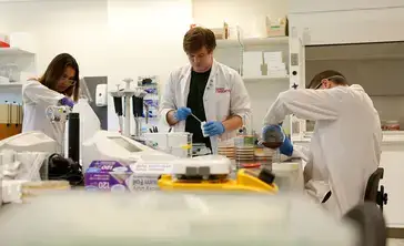 Biology lab students prepare experiments and analyses