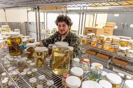 Tyler McElwee, M.S. Biology student poses with lab specimens.