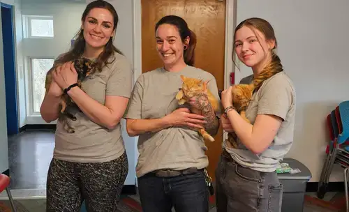 Ellie Vogl at Super Heroes with ripped jeans