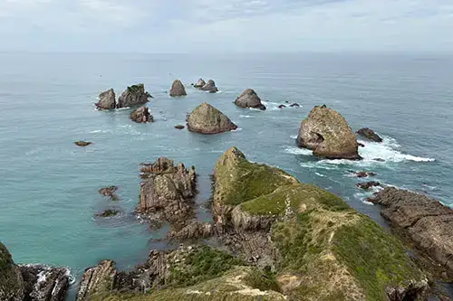 View of shore in New Zealand