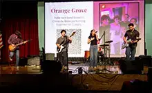 Orange Grove