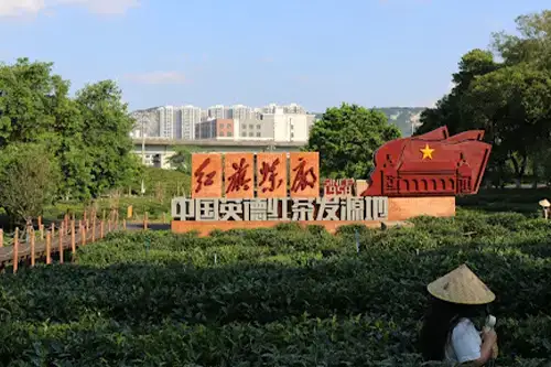 Field in China