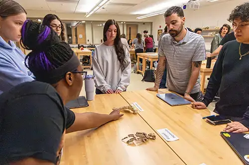Small Class Sizes Anthropology