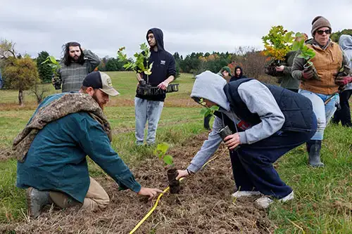 Grow Thrive Live Day Tree Planting Celebration