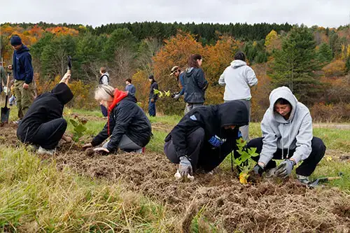 Grow Thrive Live Day Tree Planting Celebration
