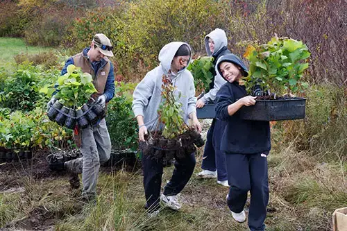Grow Thrive Live Day Tree Planting Celebration
