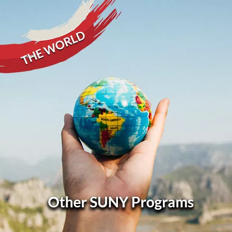 Other SUNY Programs