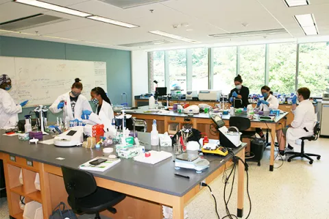 Bio Chemistry Students