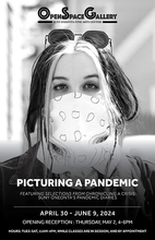 Picturing a Pandemic