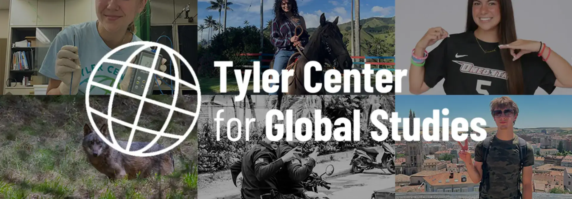 Tyler Fellows Logo