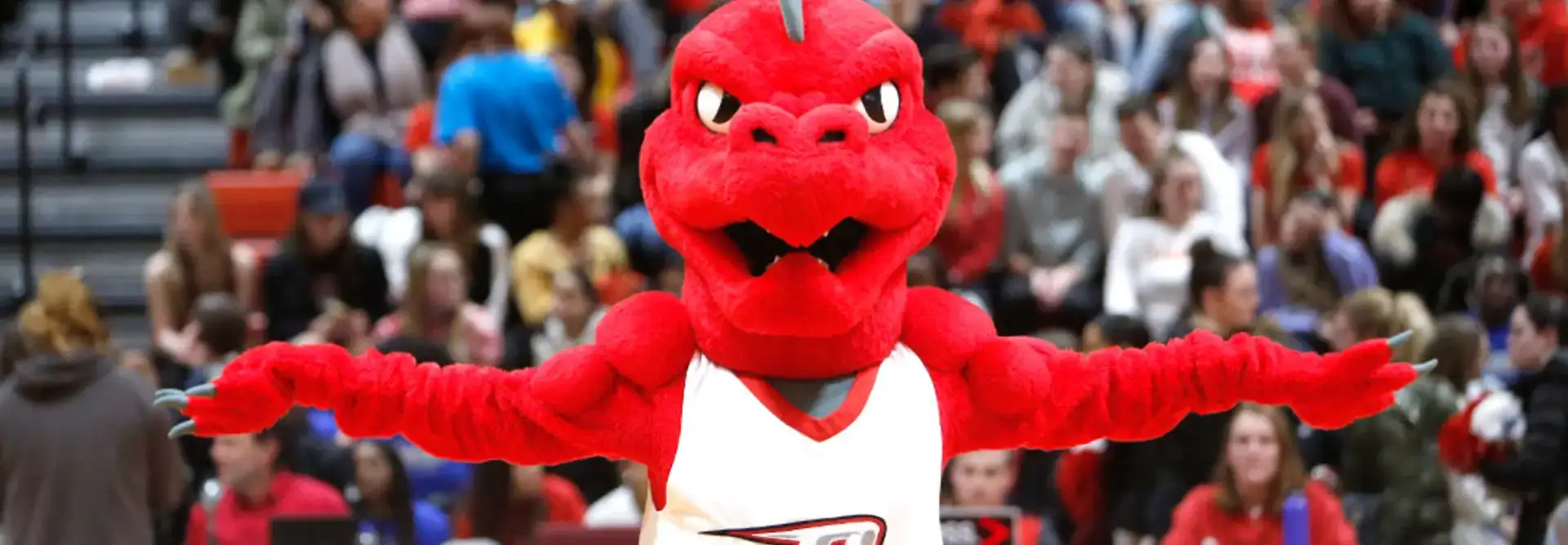 Red at a Basketball Game