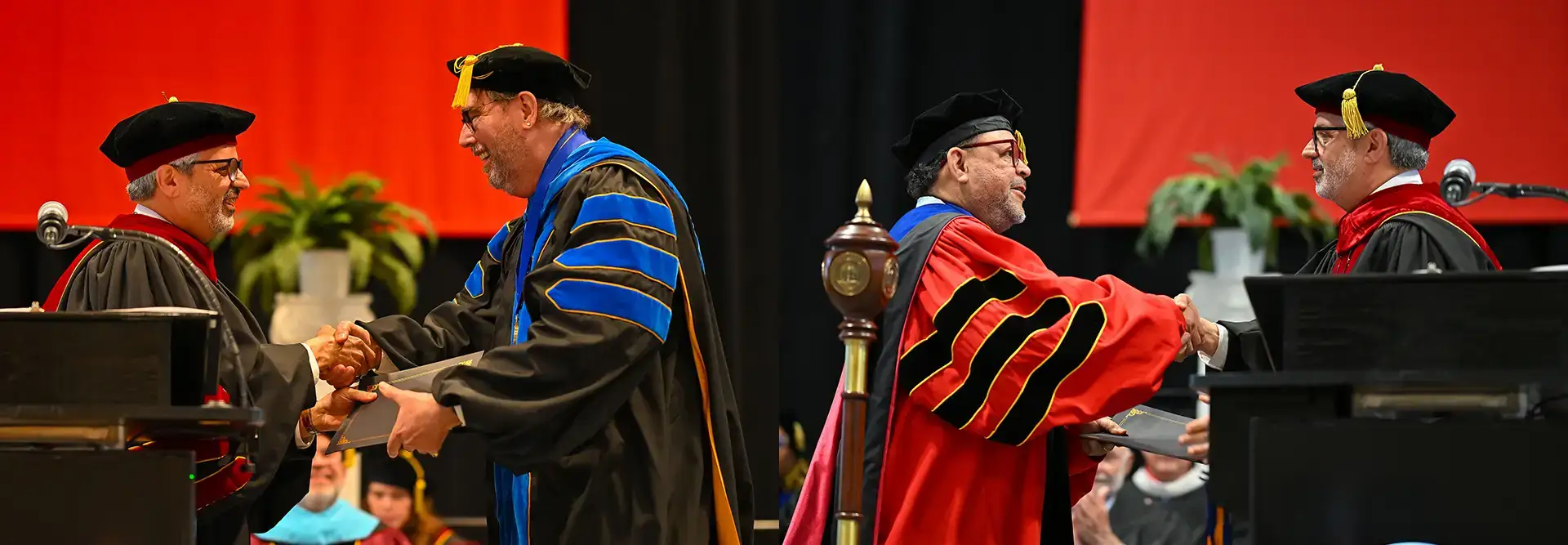 Distinguished Professors at Spring Commencement 2026