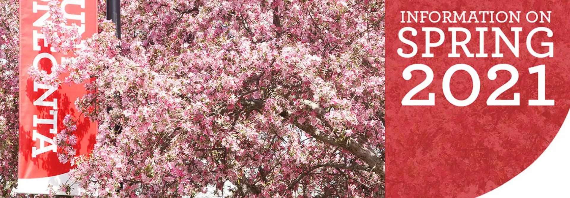 pink flowers and SUNY Oneonta sign