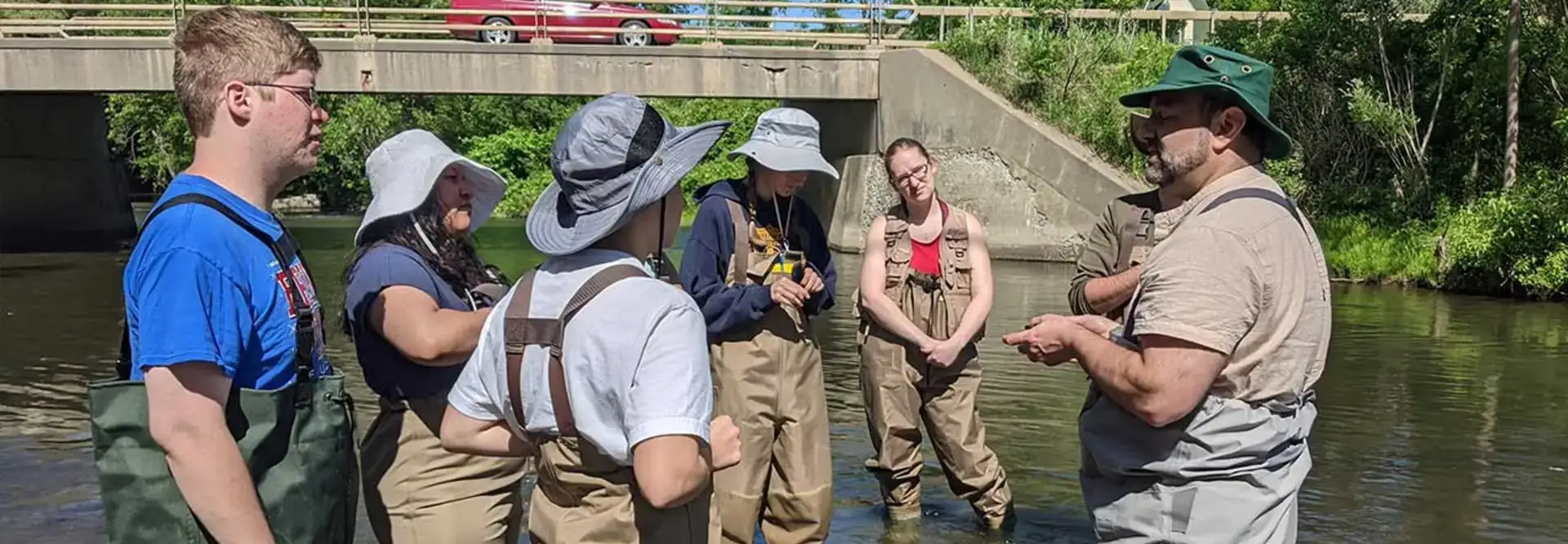 Field Entomology students