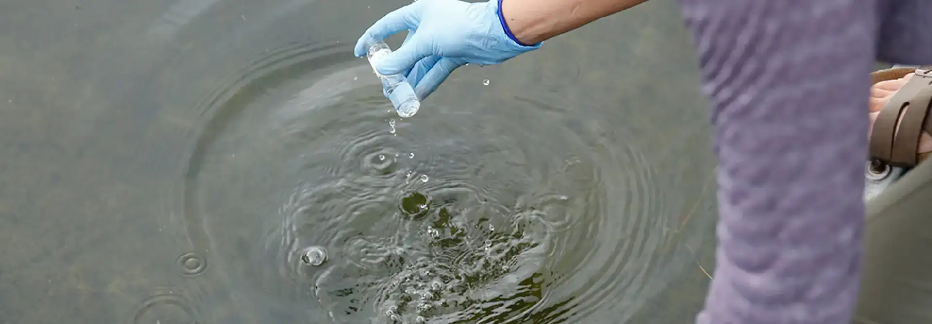 testing for harmful algal blooms (HABs) 