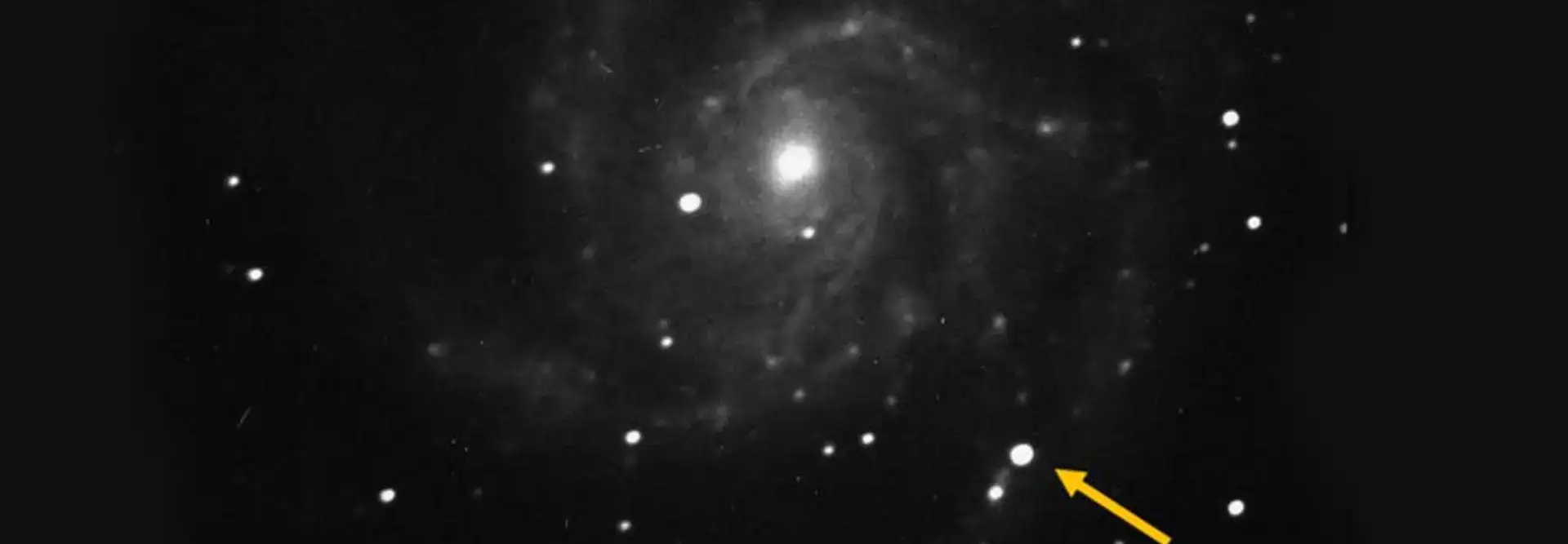Supernova Imaging in the Pinwheel Galaxy 