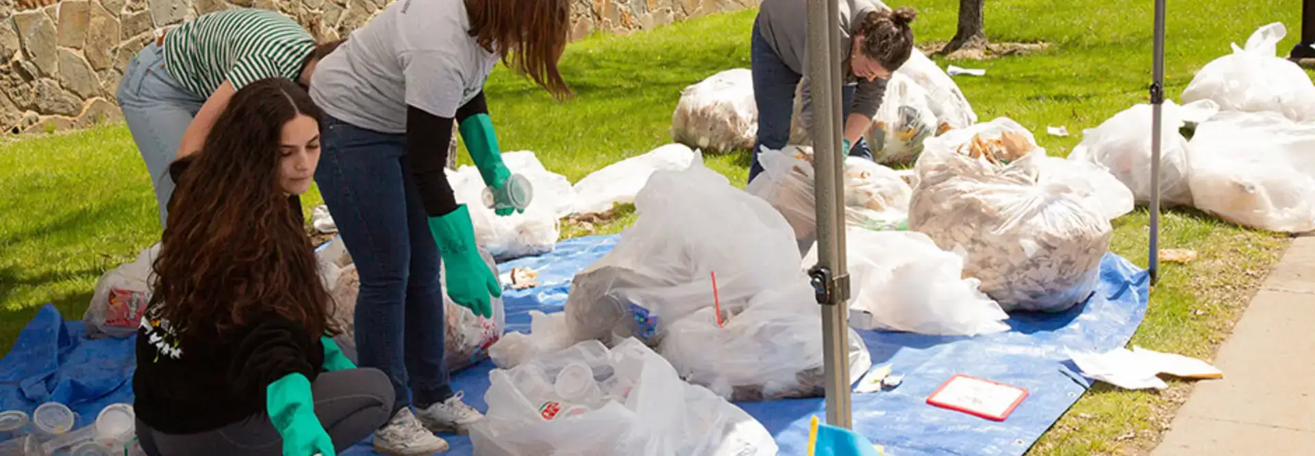 Campus Celebrates Green Dragon Week