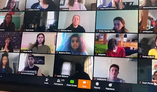 Zoom screenshot