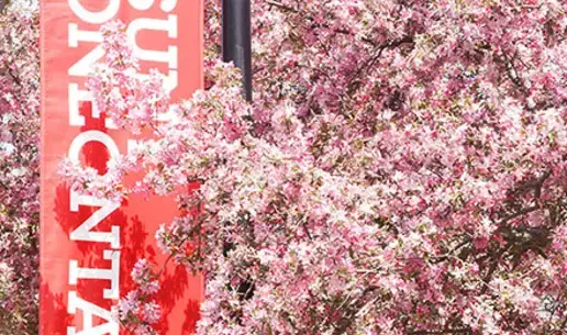 pink flowers and SUNY Oneonta sign