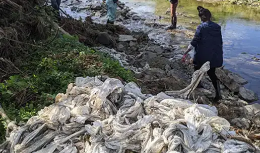 Calhoun Creek Cleanup
