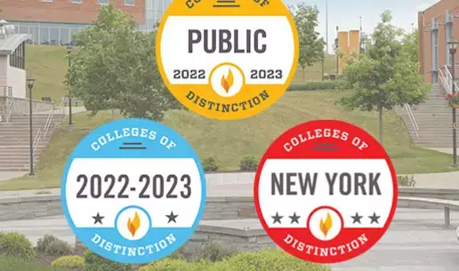 College of Distinction