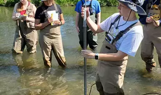 Field Entomology students