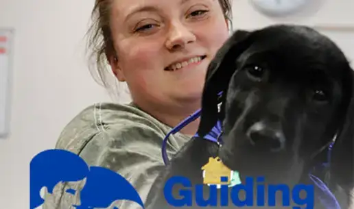 Guiding Eyes for the Blind Puppy